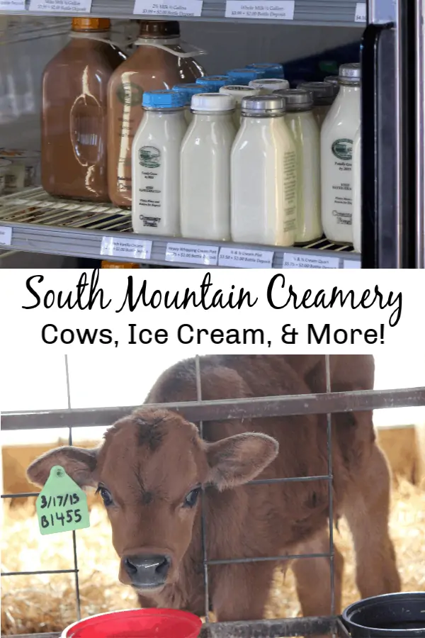 South Mountain Creamery - Cows, Ice Cream & More!