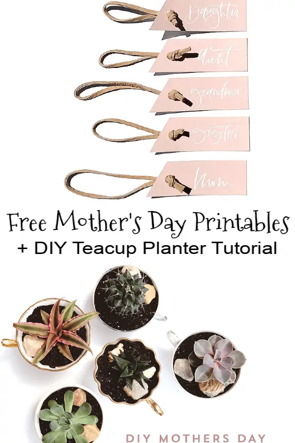 DIY Mother's Day Teacup Planters
