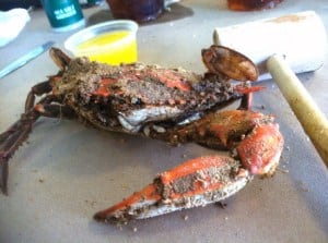 Best Steamed Crabs in Frederick, Md - Housewives of Frederick County