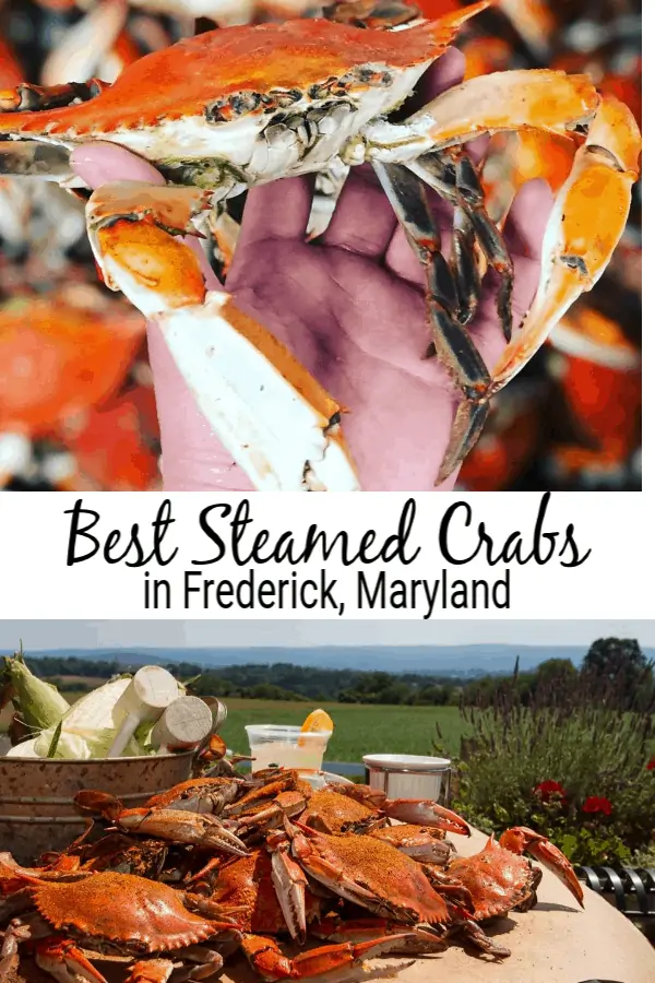 Best Steamed Crabs in Frederick, Md