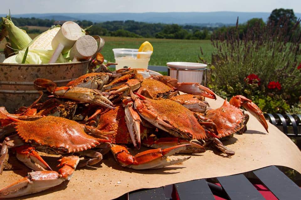 Best Steamed Crabs in Frederick, Md