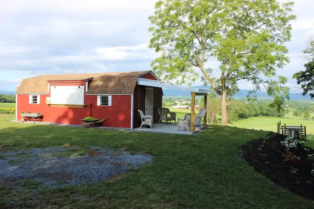 Sunflowers at Valley View Acres: Scenic Views in Middletown, Md