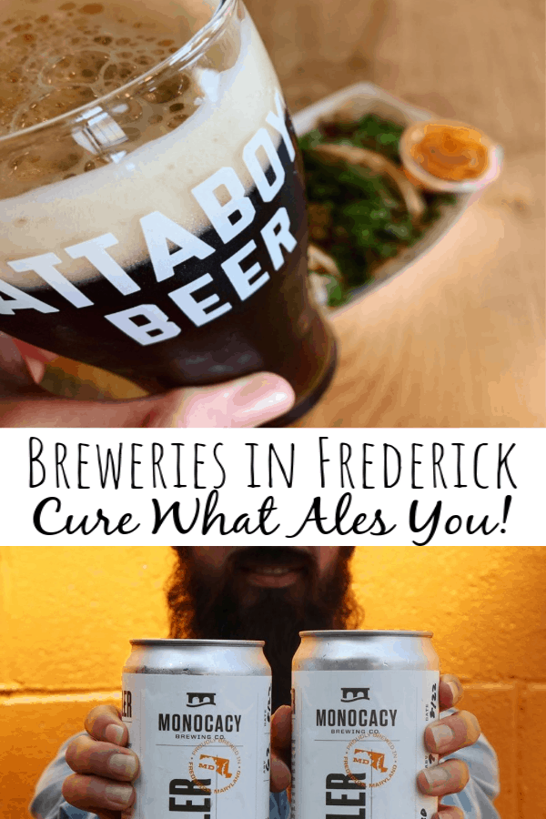 17 Best Breweries in Frederick Md: Cure What Ales You