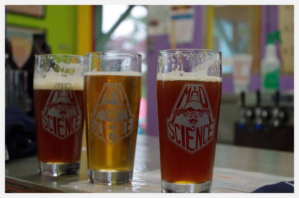 17 Best Breweries in Frederick Md: Cure What Ales You