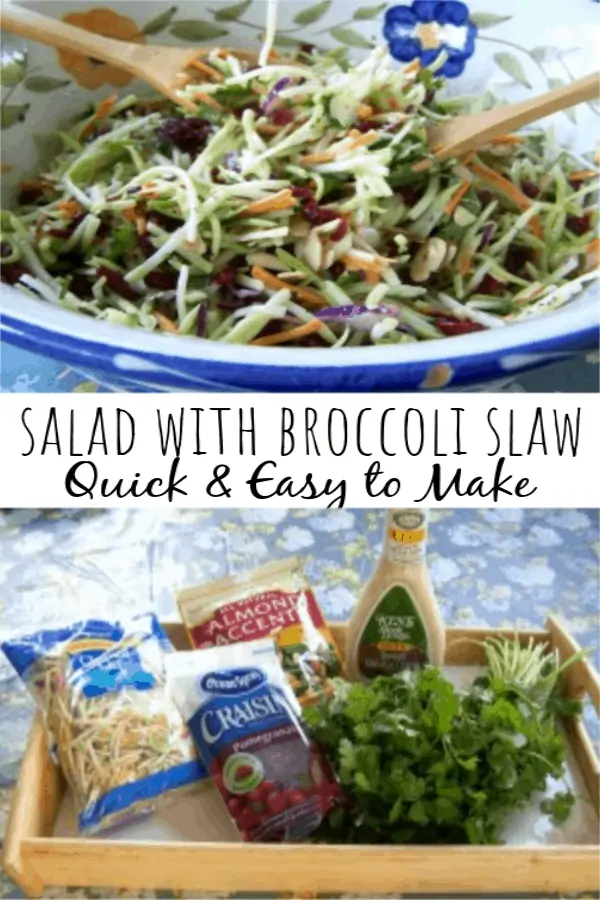 Broccoli Slaw Salad