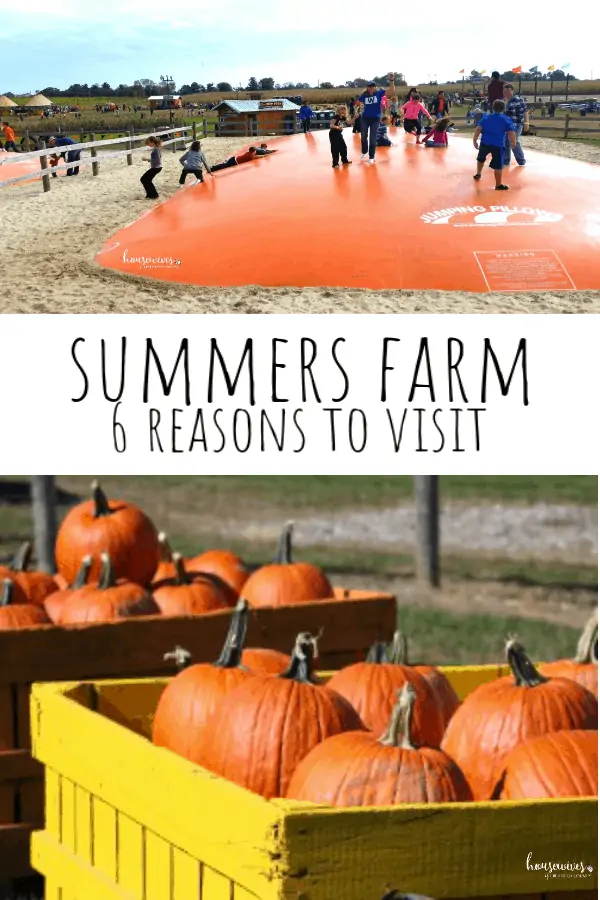 Summers Farm: The Most Important Reasons You Should Visit