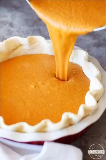 10 Best Thanksgiving Desserts You Can Be Thankful For!