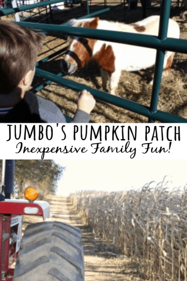 Jumbo's Pumpkin Patch: Your Inexpensive, Family Fun is Here!