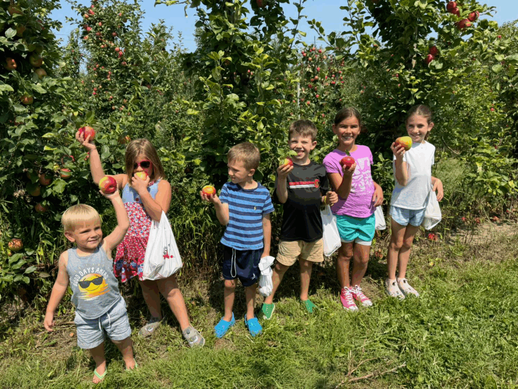 Kids picking apples at Mt. Airy Orchards in Dillsburg, PA