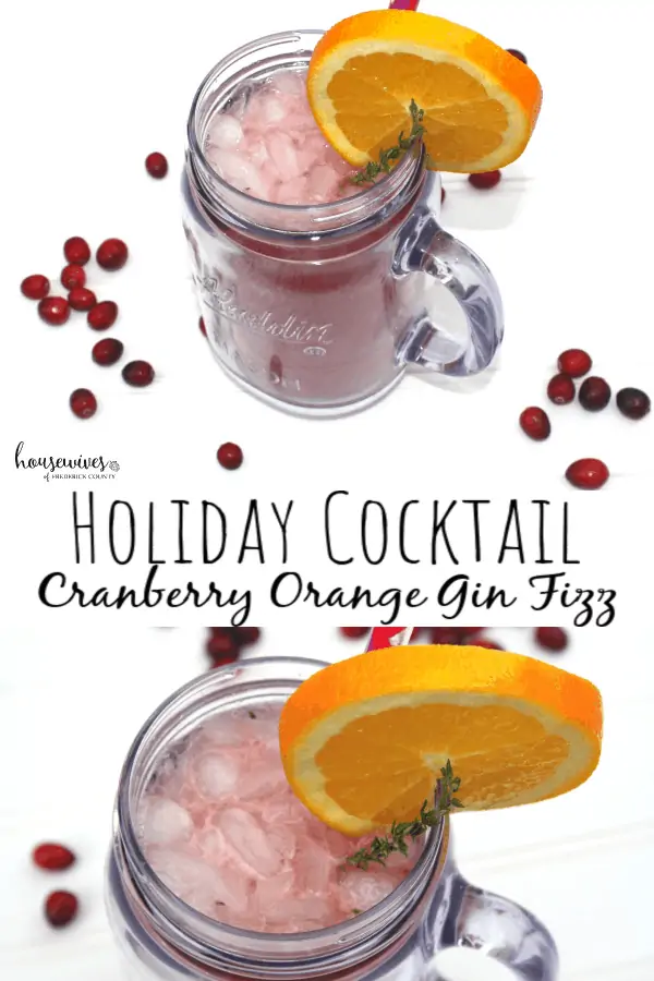 Cranberry Gin Cocktail with Ginger Ale