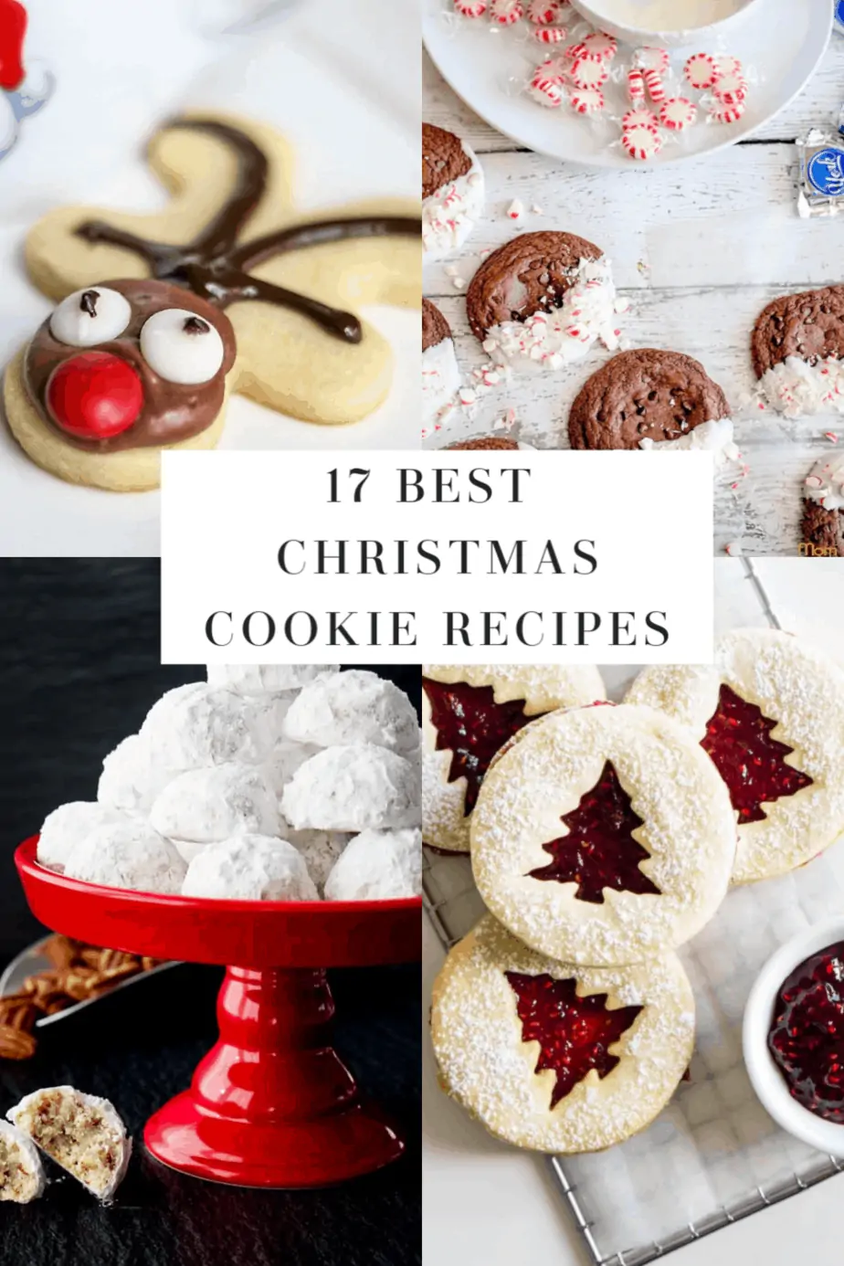 Creative Christmas Cookie Recipes