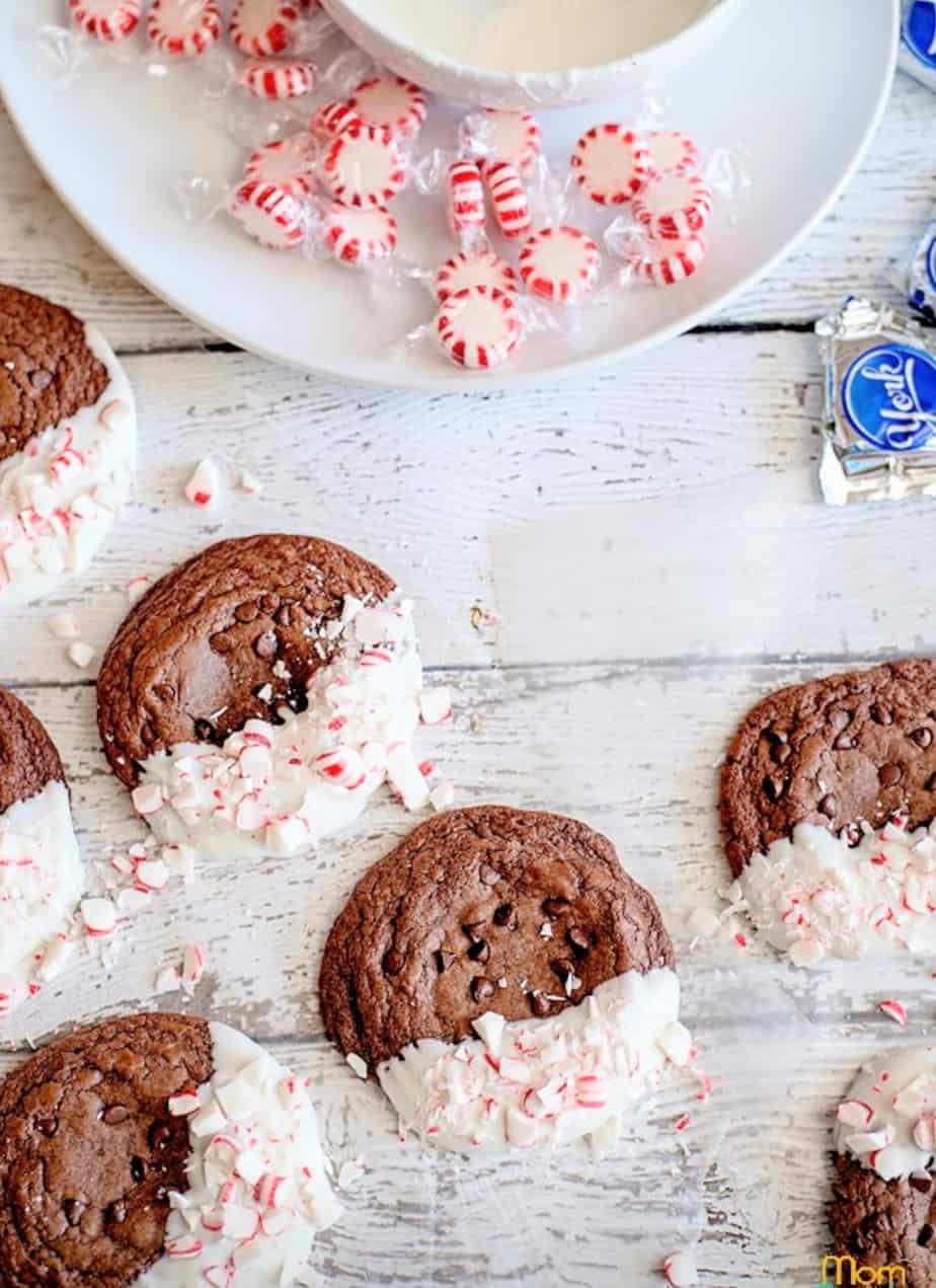 17+ Best Christmas Cookie Recipes For Your Holiday Season
