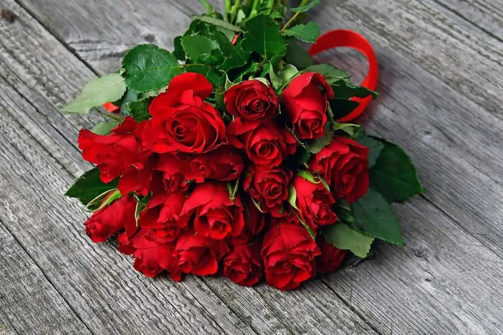 Red roses are a symbol of love on Valentine's Day