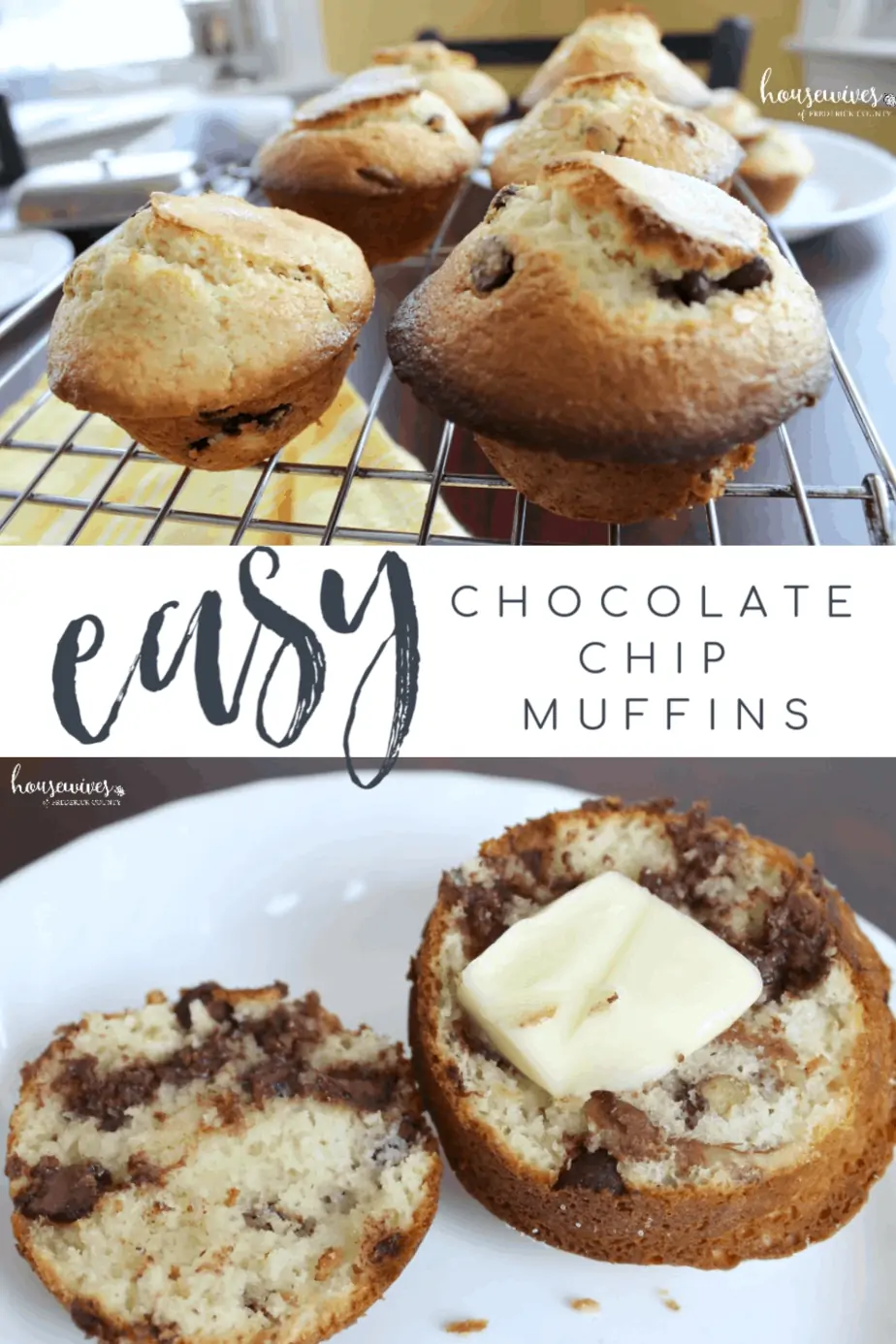 Easy Chocolate Chip Muffins Recipe