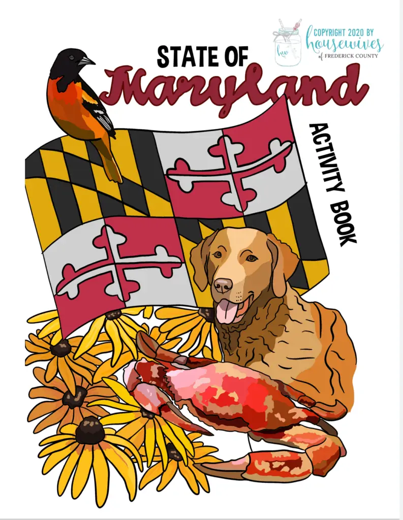 Maryland Kids Activity Book