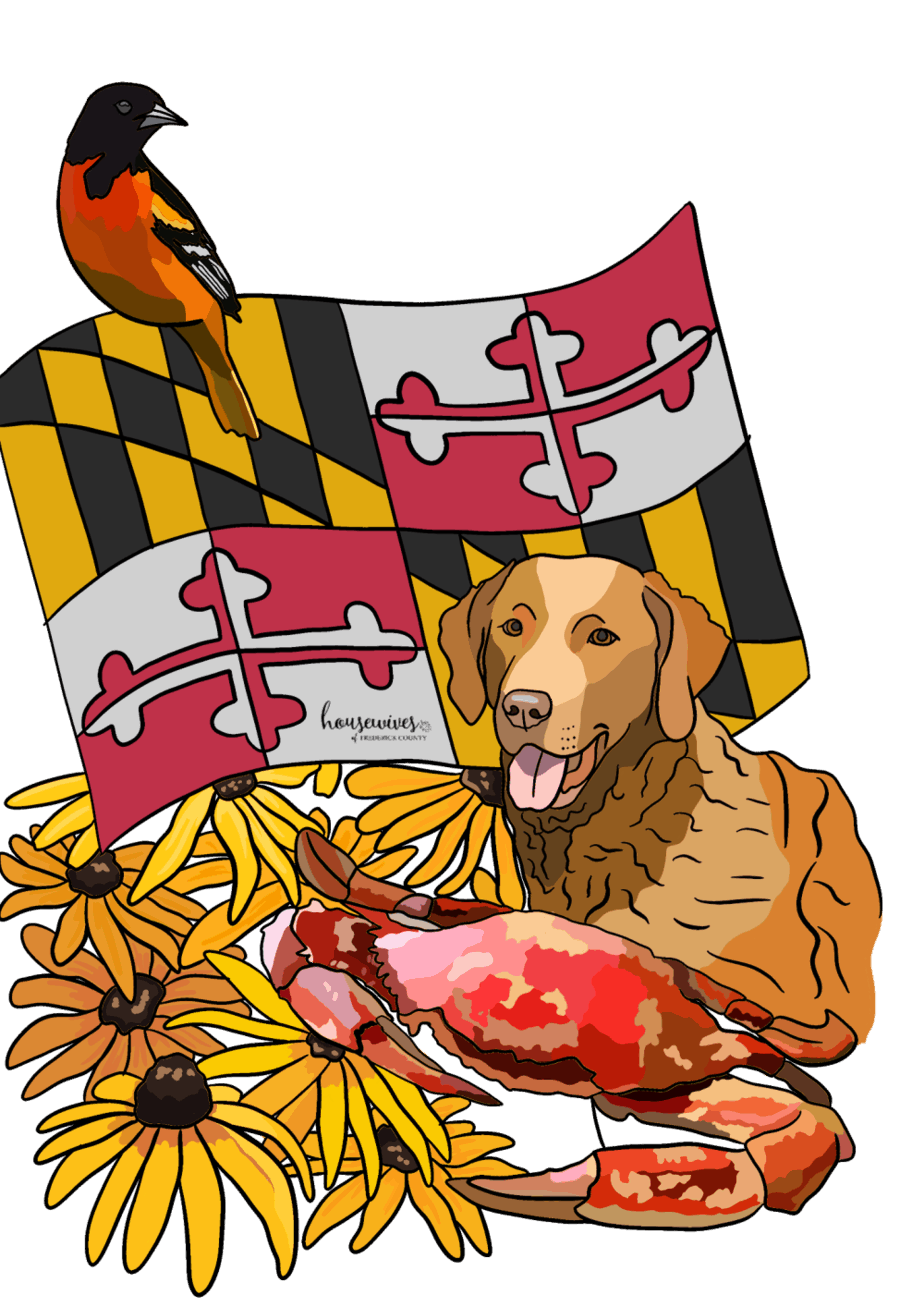 Maryland Themed Kids Activity Book: Educational & Fun!