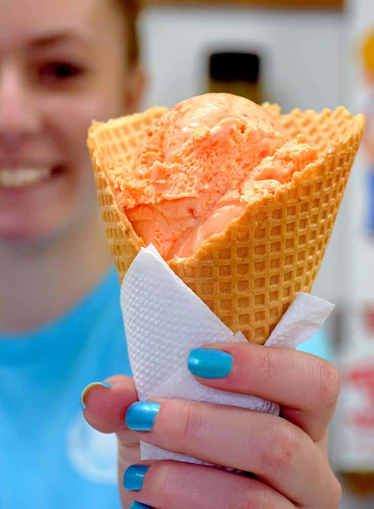 14 Best Ice Cream Places in Frederick County Maryland 10 South Mountain Creamery