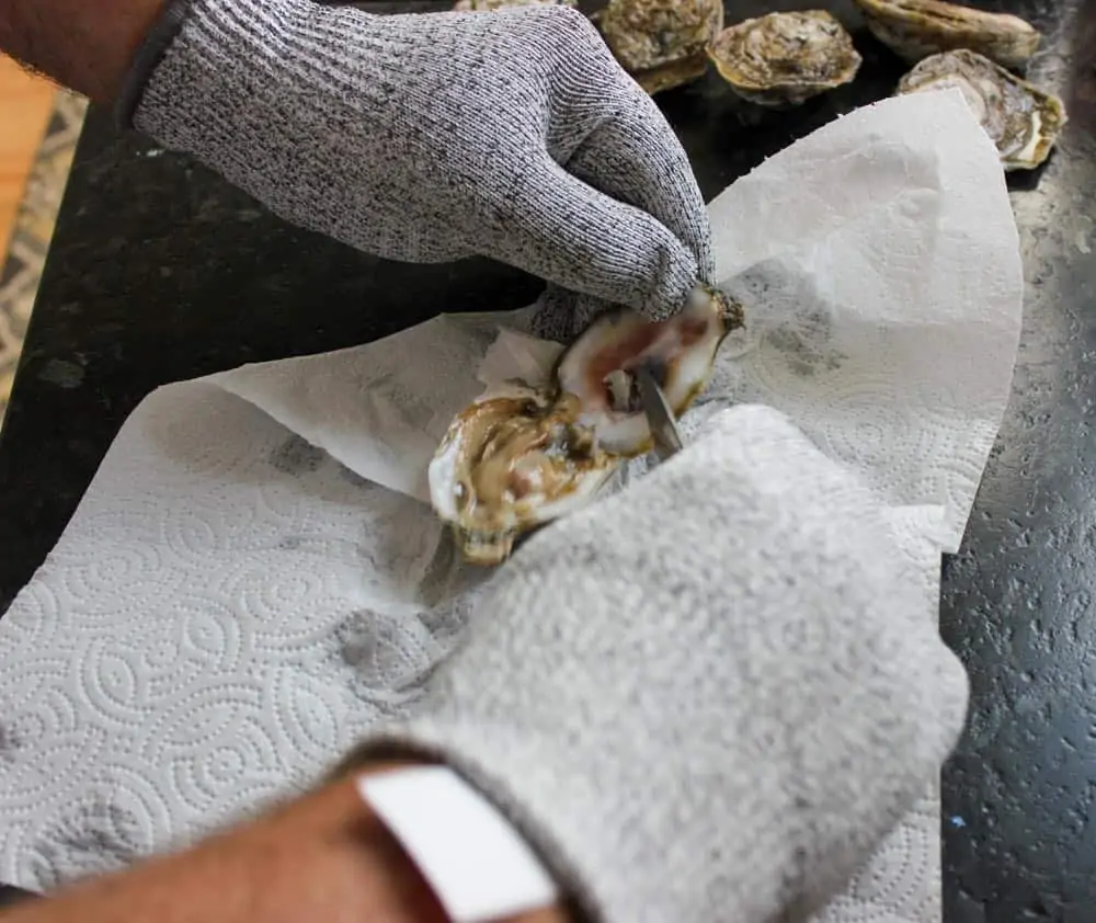 How to Shuck Oysters