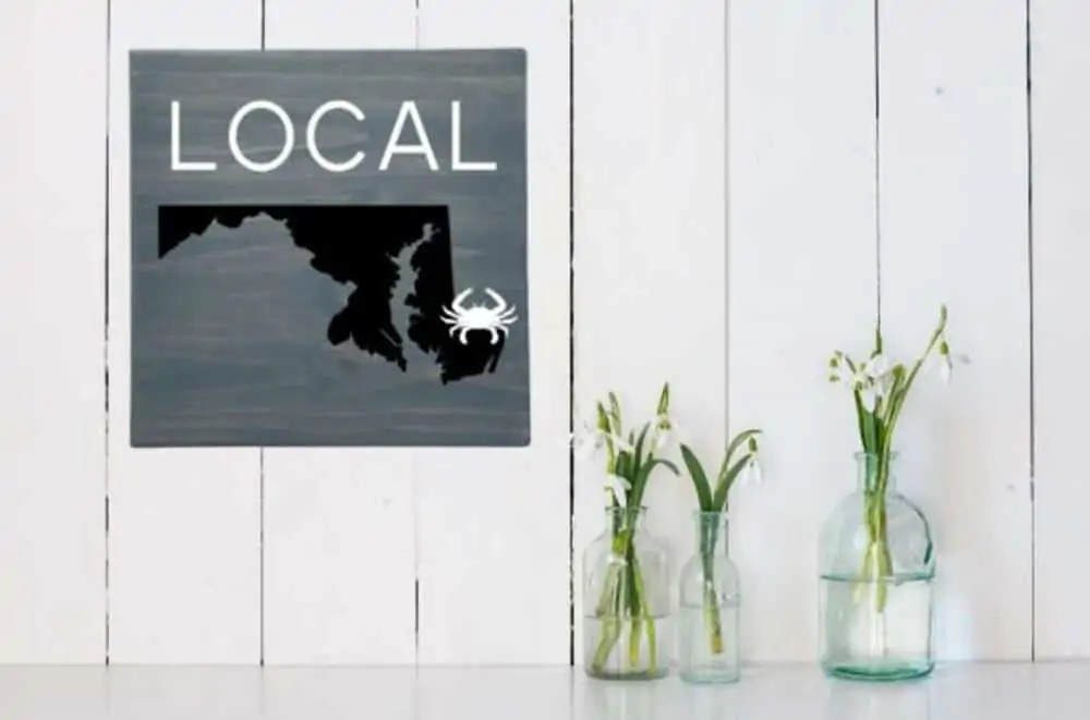 11 Awesome Made in Maryland Etsy Gifts For Marylanders