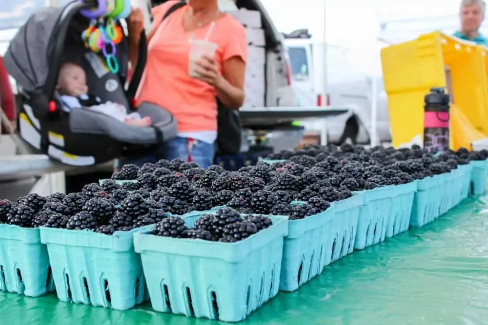 Farmers Markets in Frederick Md