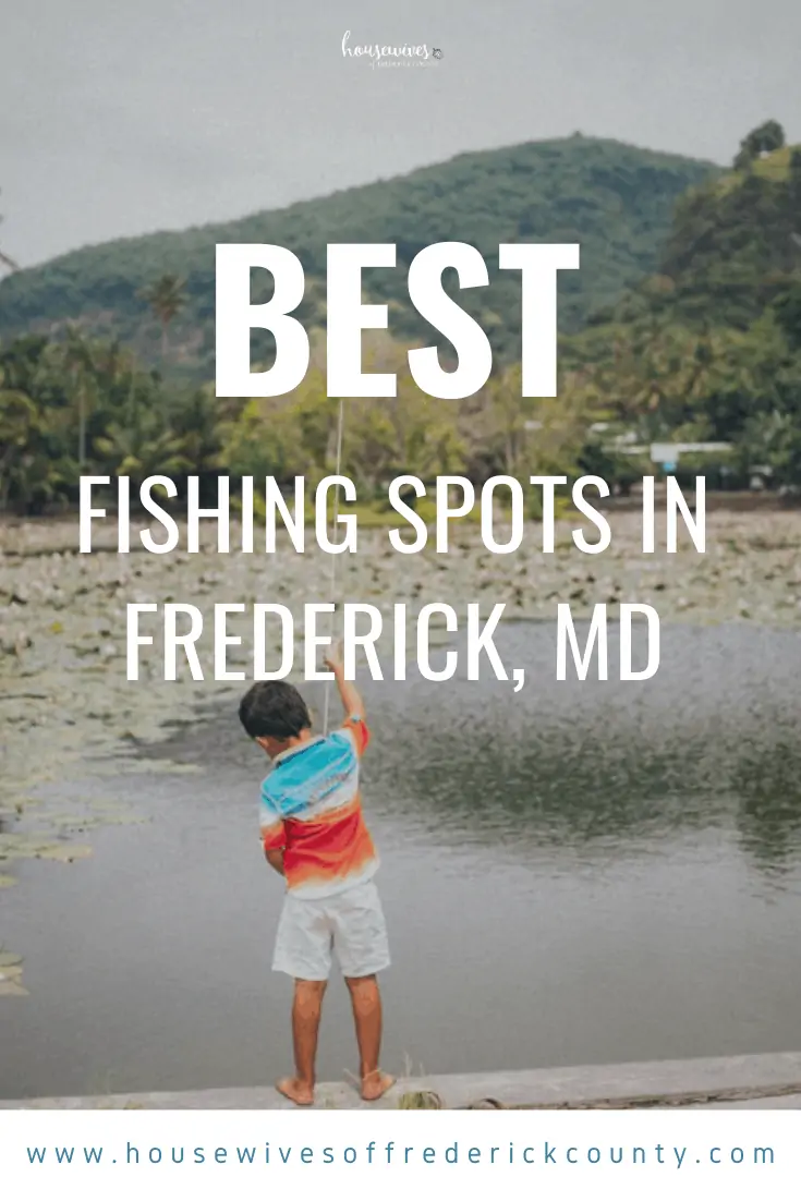 Best Fishing Spots in Frederick Md