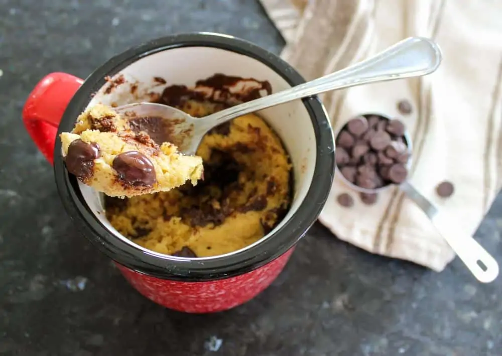 1-Minute Chocolate Chip Mug Cake Recipe: Sugar Free