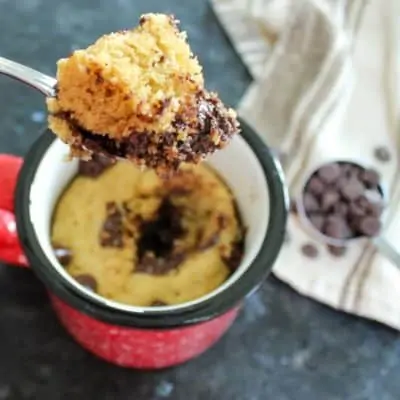 1-Minute Chocolate Chip Mug Cake Recipe: Sugar Free