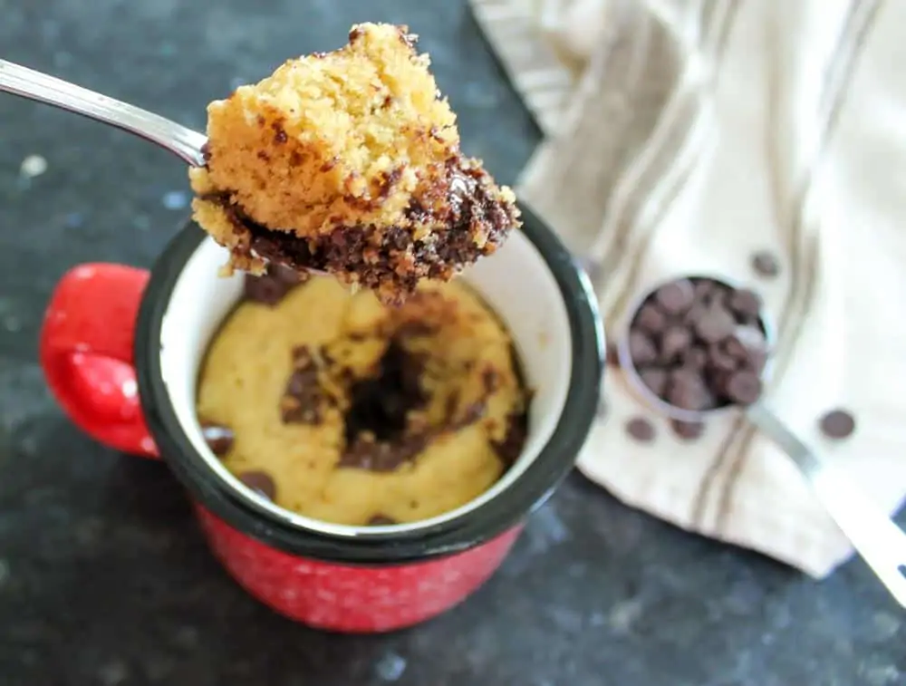 1-Minute Chocolate Chip Mug Cake Recipe: Sugar Free
