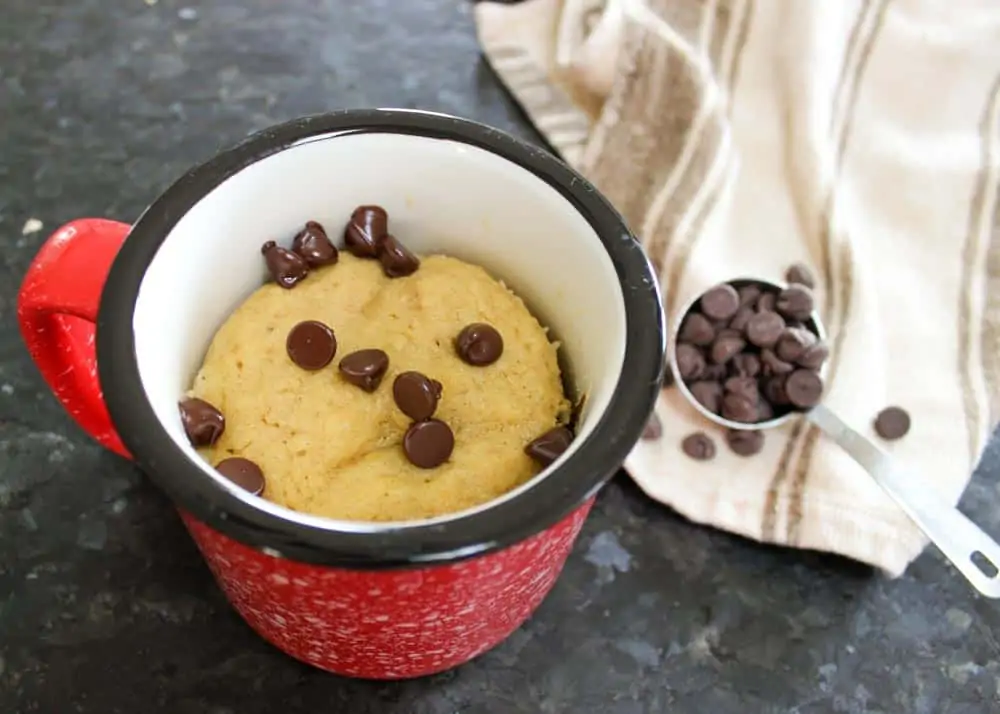 1-Minute Chocolate Chip Mug Cake Recipe: Sugar Free