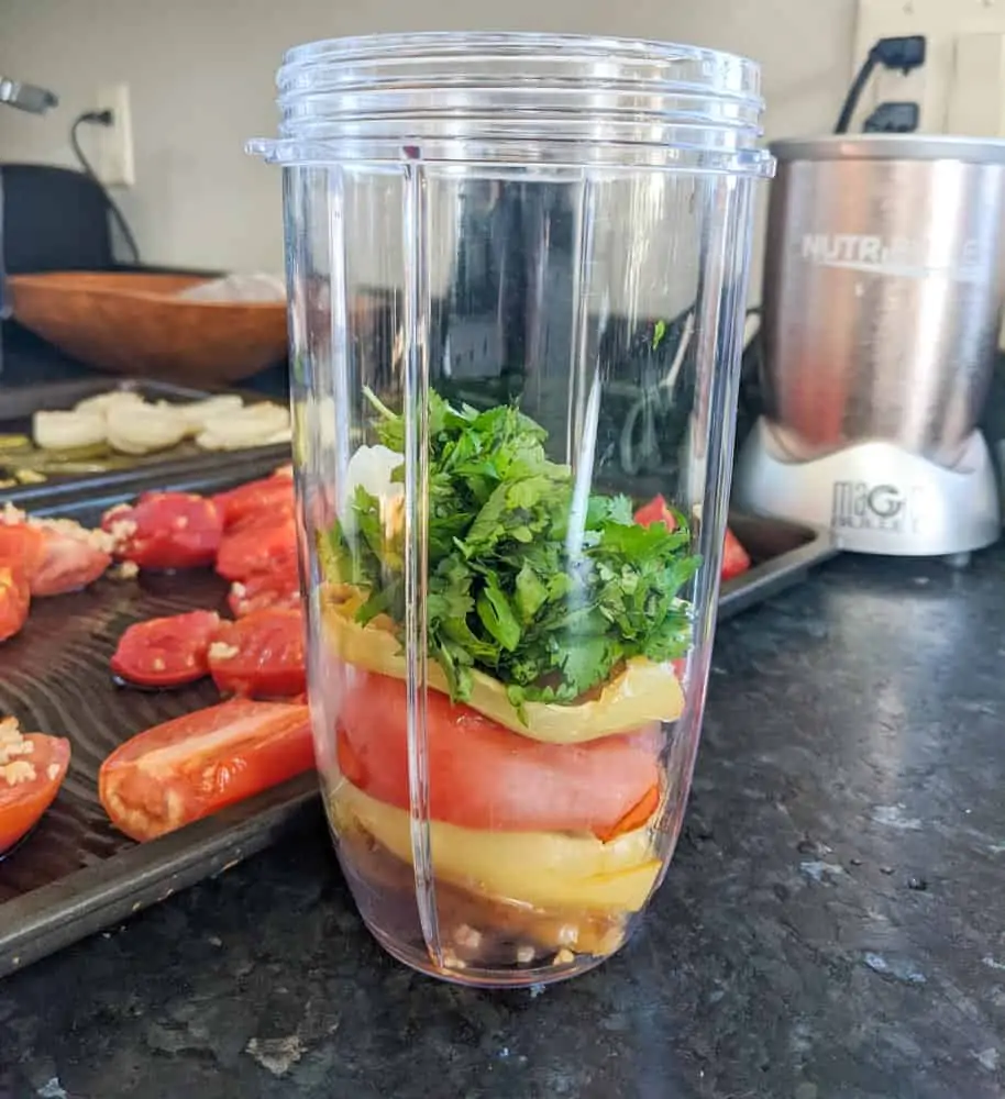 A NutriBullet does the trick!