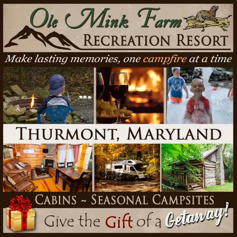 2020 Holiday Gift Guide for Frederick, Md: Something for Everyone On Your List!