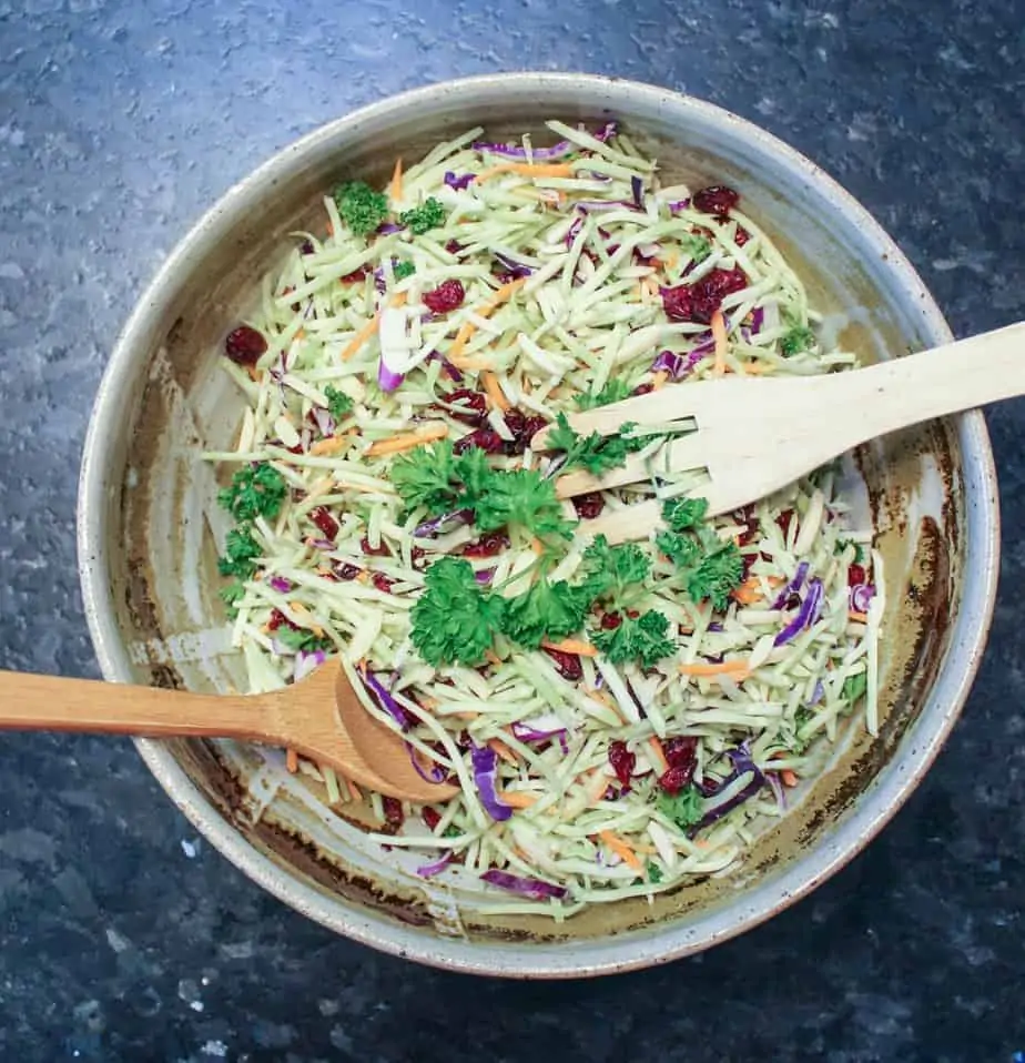 Easy Broccoli Slaw Salad with Craisins, Candied Nuts, & Vidalia Dressing