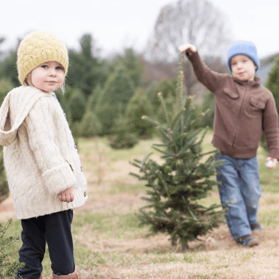 12 Christmas Tree Farms Near Frederick Md Housewives of Frederick County