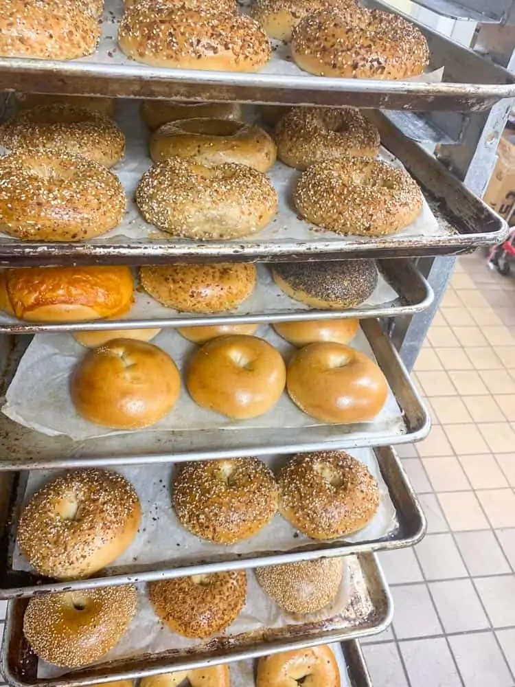 Best Bagels in Frederick Md