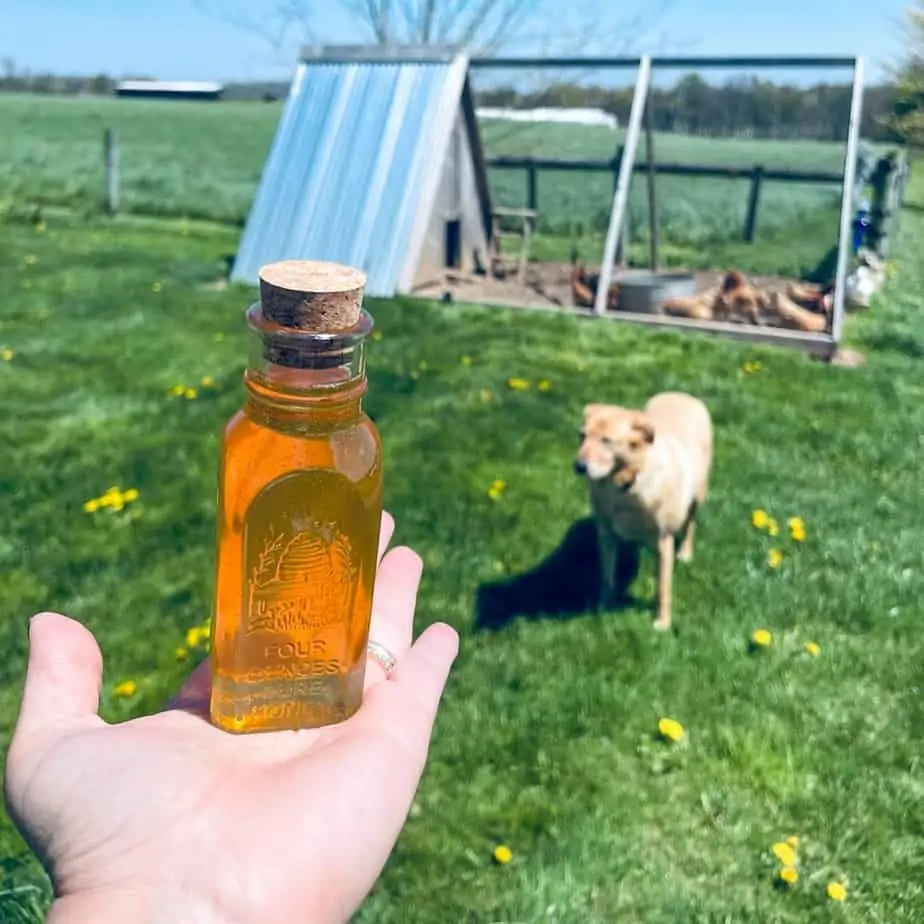 Local Honey in Frederick, Md