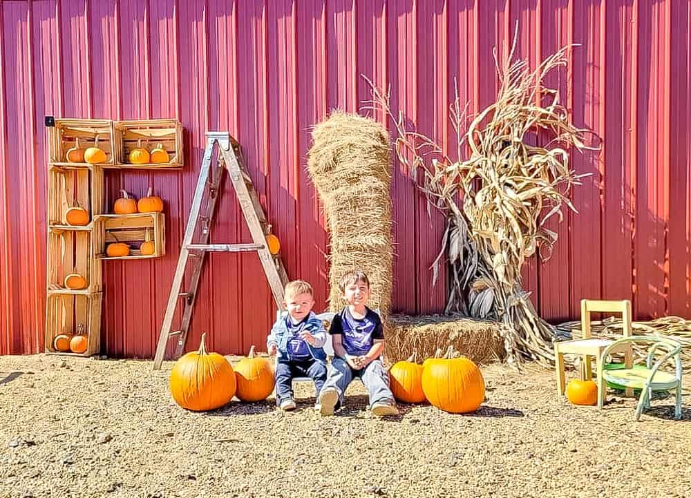 20 Best Pumpkin Patches in Frederick Md & Nearby (2021)