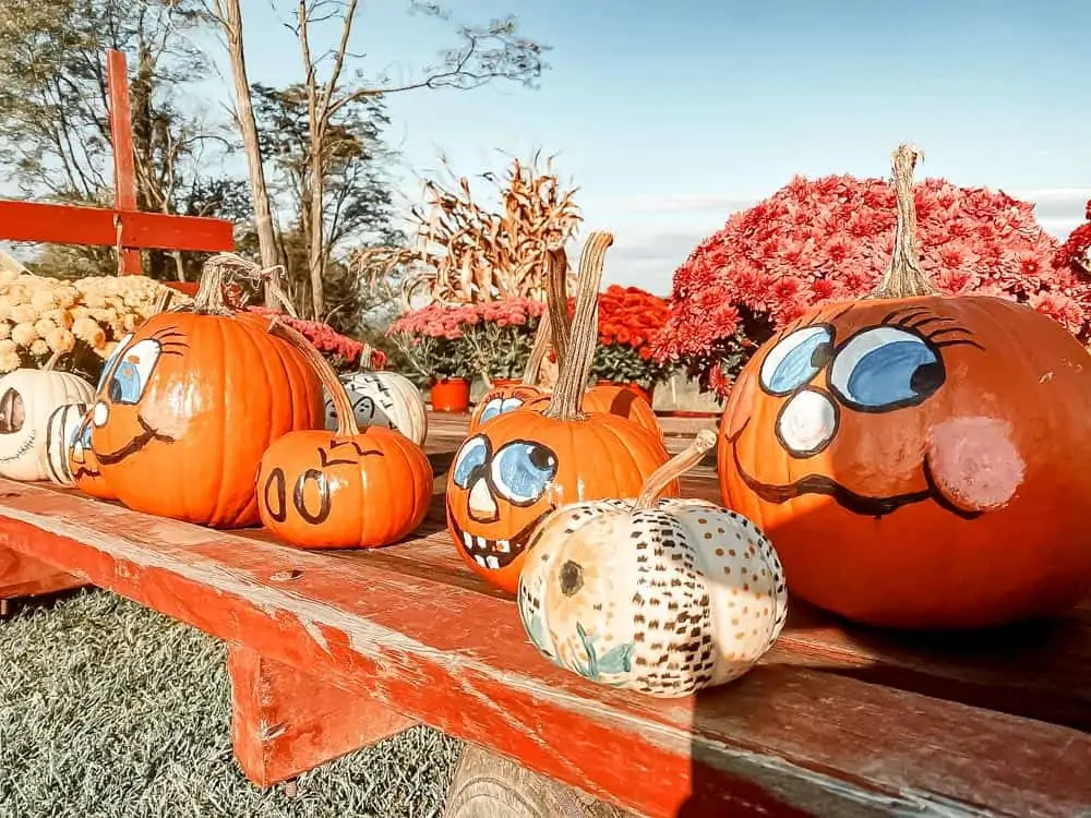 20 Fall Festivals In Frederick Md & Nearby (2022)