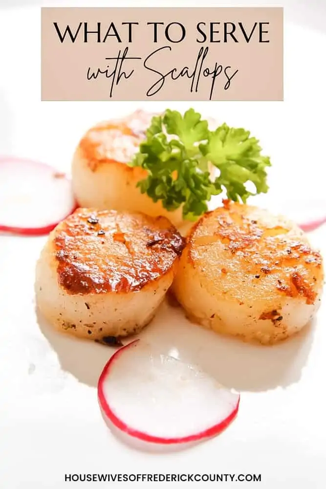 What To Serve With Scallops: 22 Perfect Side Dish Recipes
