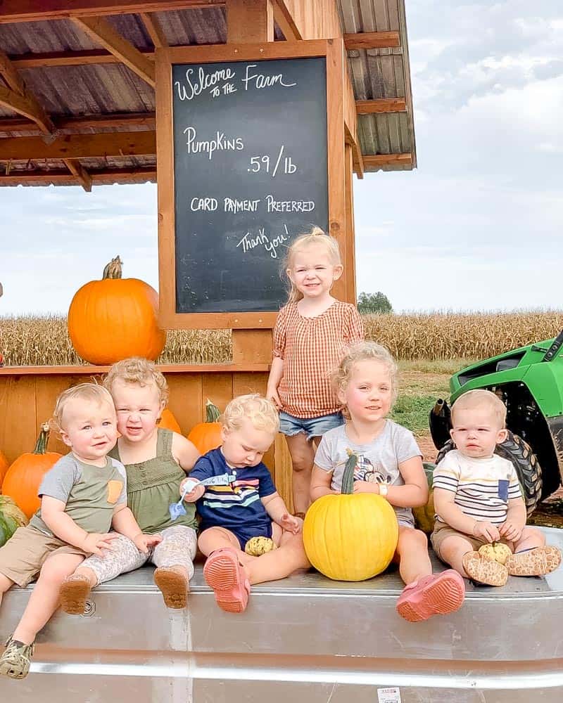 Pumpkin Patches in Frederick Md & Nearby