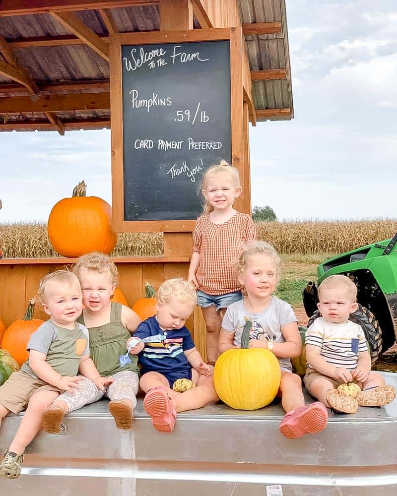 20 Best Pumpkin Patches in Frederick Md & Nearby (2021) Housewives of