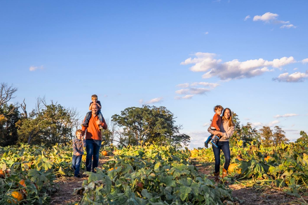 Family walking through the pumpkin patch at Brookfield Pumpkins in Thurmont, Maryland