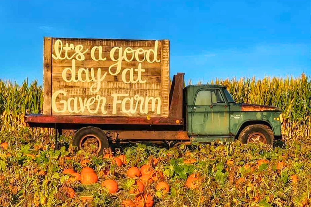 Pumpkins in front of a vintage truck at Gaver Farm in Mount Airy, Maryland