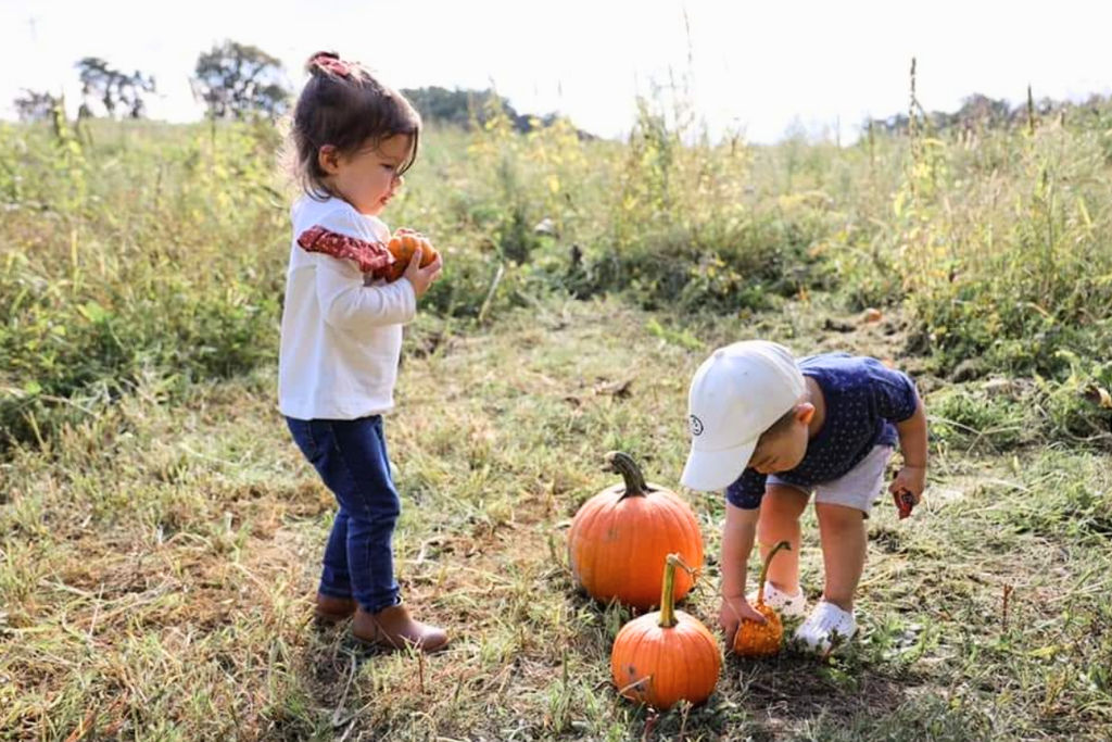 Children picking pumpkins at Green Meadows Petting Farm in Ijamsville, Maryland