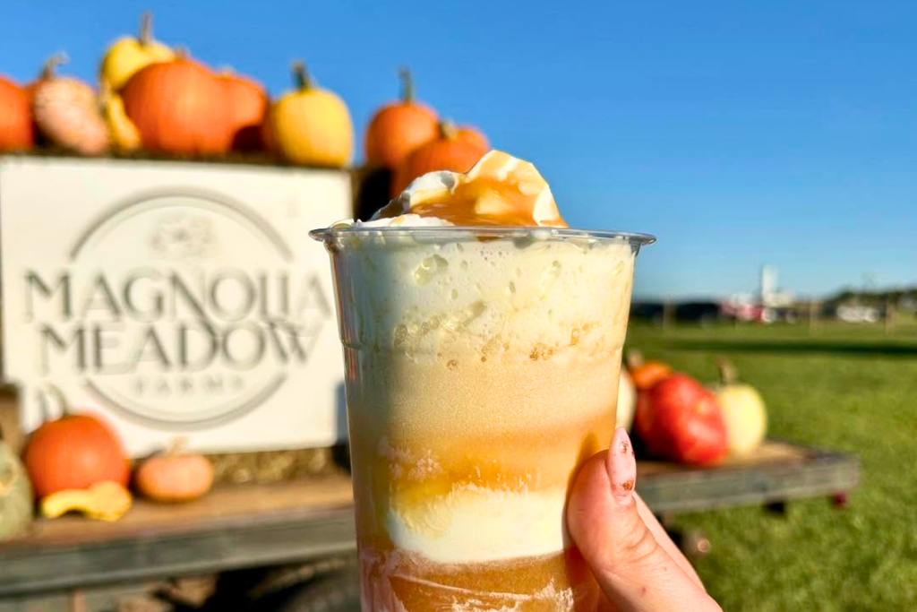 Fall drink with pumpkins at Magnolia Meadow Farms in Thurmont, Maryland