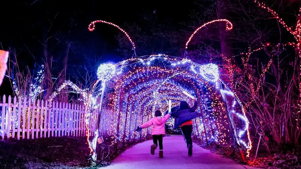 Christmas light displays near Frederick Maryland - Brookside Gardens Garden of Lights