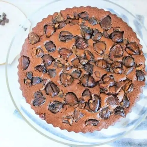 Chocolate Chestnut Cake