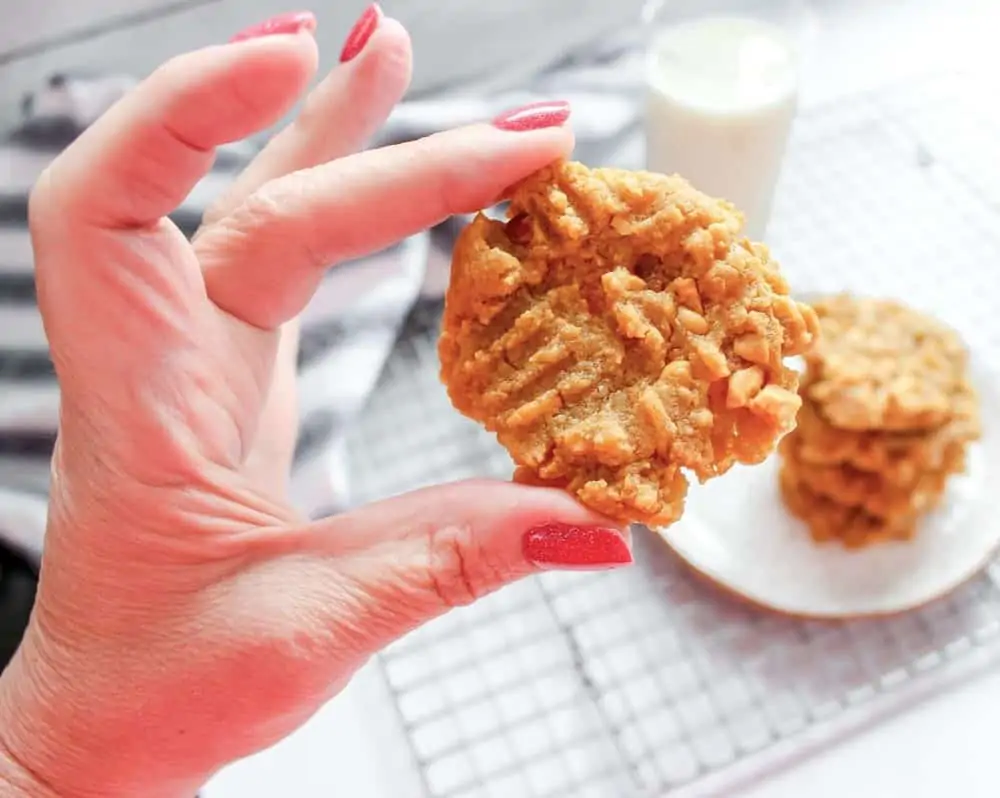 Sugar Free Peanut Butter Cookies