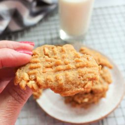 Sugar Free Peanut Butter Cookies