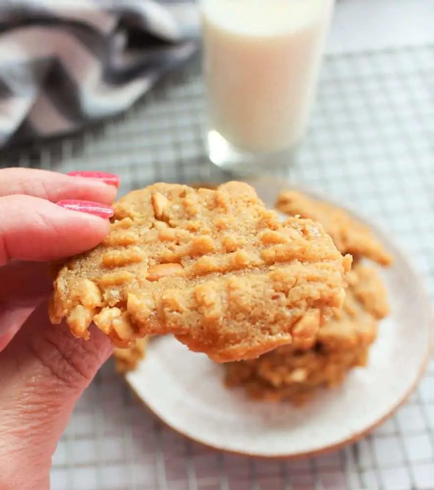 Sugar Free Peanut Butter Cookies