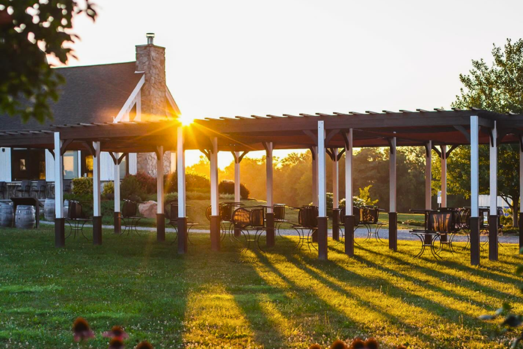 Catoctin Breeze Vineyard with mountain views in Thurmont Maryland
